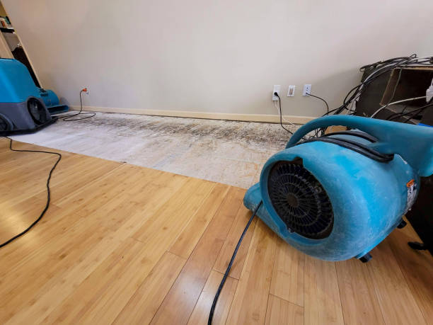 Professional Flood Damage Cleanup technician working in Modoc, SC